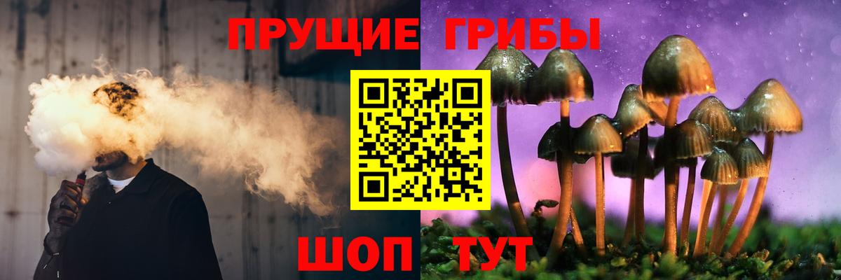 Тихвин  где найти наркотики  Псилоцибиновые грибы прущие грибы  Вход с VPN  Псилоцибиновые грибы мицелий 